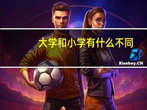 大学和小学有什么不同