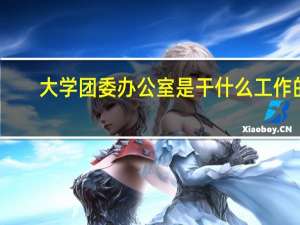 大学团委办公室是干什么工作的