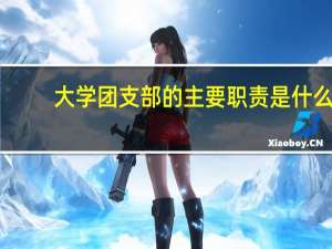 大学团支部的主要职责是什么