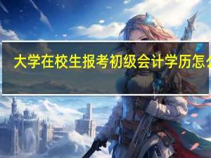 大学在校生报考初级会计学历怎么填