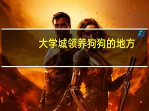 大学城领养狗狗的地方