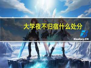 大学夜不归宿什么处分