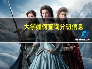 大学如何查询分班信息