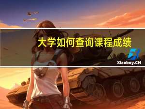 大学如何查询课程成绩
