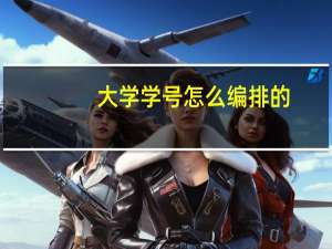 大学学号怎么编排的