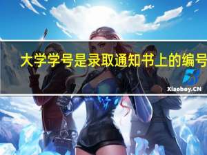 大学学号是录取通知书上的编号吗