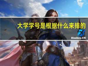 大学学号是根据什么来排的