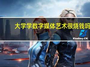 大学学数字媒体艺术很烧钱吗