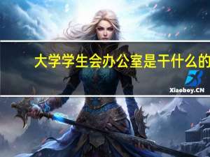 大学学生会办公室是干什么的