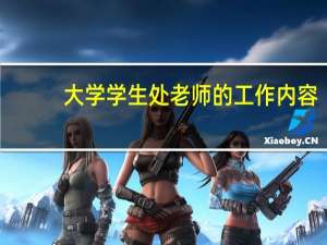 大学学生处老师的工作内容