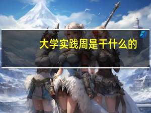 大学实践周是干什么的