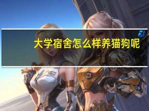 大学宿舍怎么样养猫狗呢