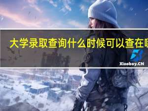 大学录取查询什么时候可以查 在哪查