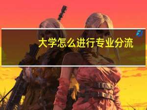 大学怎么进行专业分流