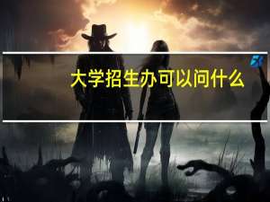 大学招生办可以问什么