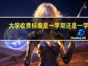 大学收费标准是一学期还是一学年