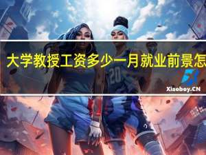 大学教授工资多少一月 就业前景怎么样