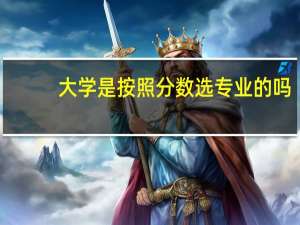 大学是按照分数选专业的吗