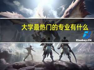 大学最热门的专业有什么
