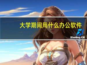 大学期间用什么办公软件