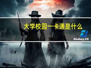 大学校园一卡通是什么