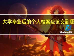 大学毕业后的个人档案应该交到哪里去
