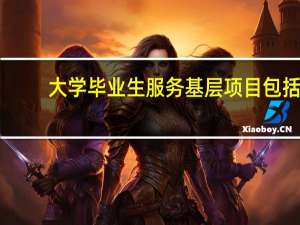 大学毕业生服务基层项目包括