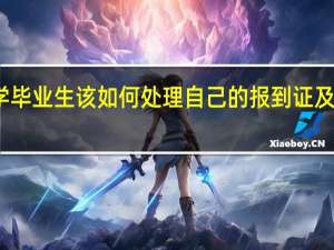 大学毕业生该如何处理自己的报到证及个人档案？