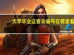 大学毕业证查询编号在哪里看