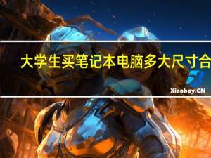 大学生买笔记本电脑多大尺寸合适（大学生买笔记本）