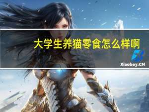 大学生养猫零食怎么样啊