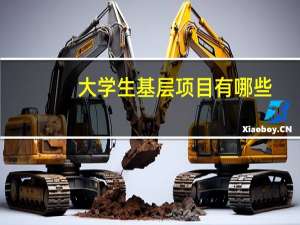 大学生基层项目有哪些