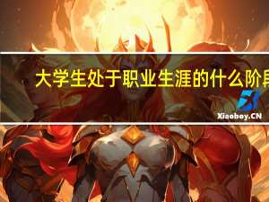 大学生处于职业生涯的什么阶段