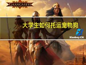 大学生如何托运宠物狗