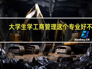 大学生学工商管理这个专业好不好