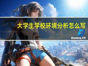 大学生学校环境分析怎么写