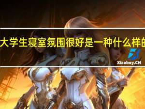 大学生寝室氛围很好是一种什么样的体验