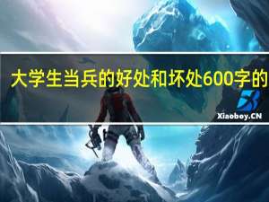 大学生当兵的好处和坏处600字的论文