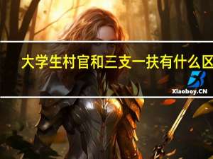 大学生村官和三支一扶有什么区别
