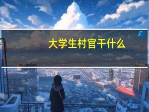 大学生村官干什么