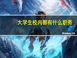 大学生校内都有什么职务