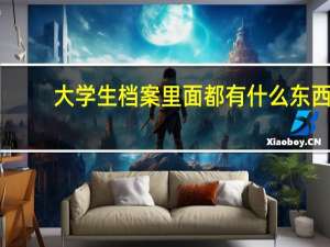 大学生档案里面都有什么东西