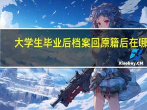 大学生毕业后档案回原籍后在哪里