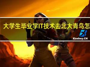 大学生毕业学IT技术去北大青鸟怎么样