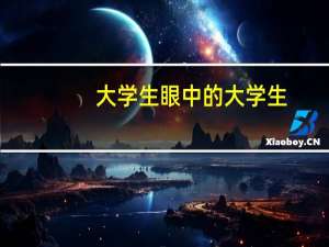 大学生眼中的大学生（大学生眼中的对方）