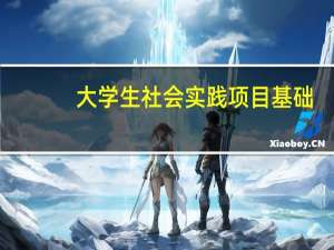 大学生社会实践项目基础（大学生社会实践项目名称）