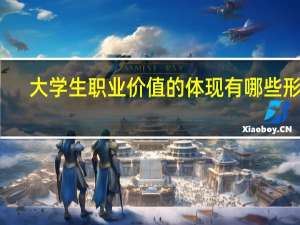 大学生职业价值的体现有哪些形式
