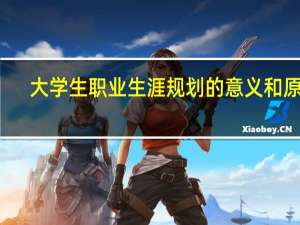 大学生职业生涯规划的意义和原则
