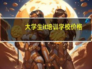 大学生it培训学校价格（大学生it培训）