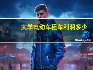 大学电动车租车利润多少
